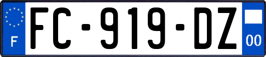 FC-919-DZ