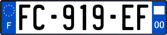 FC-919-EF