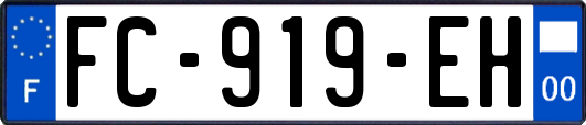 FC-919-EH