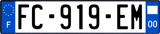 FC-919-EM