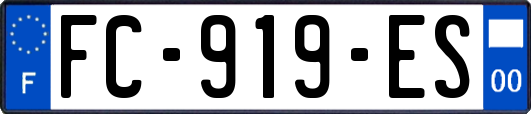 FC-919-ES