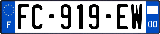 FC-919-EW