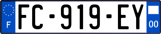 FC-919-EY