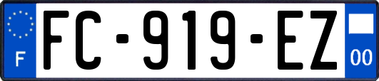 FC-919-EZ