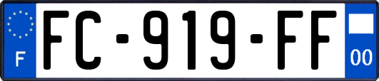 FC-919-FF
