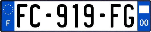 FC-919-FG