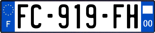 FC-919-FH