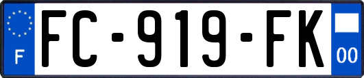 FC-919-FK