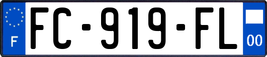 FC-919-FL