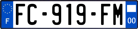 FC-919-FM