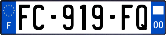 FC-919-FQ