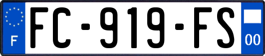 FC-919-FS