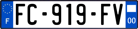 FC-919-FV