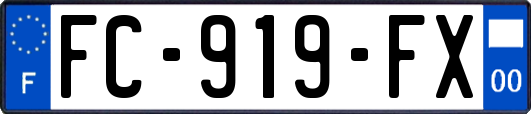 FC-919-FX