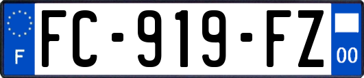 FC-919-FZ