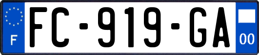 FC-919-GA