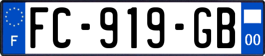 FC-919-GB