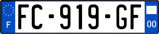 FC-919-GF