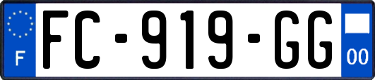 FC-919-GG
