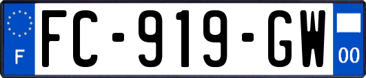 FC-919-GW