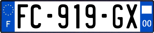 FC-919-GX