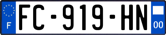 FC-919-HN