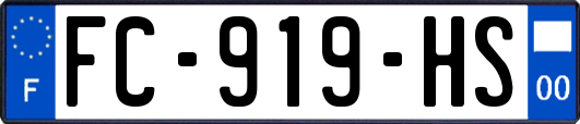 FC-919-HS