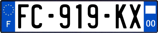 FC-919-KX