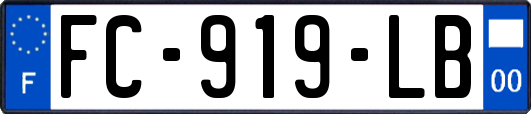FC-919-LB