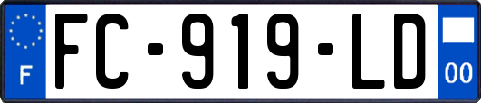 FC-919-LD