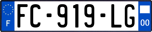 FC-919-LG