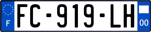 FC-919-LH