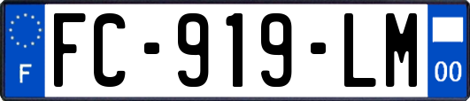 FC-919-LM