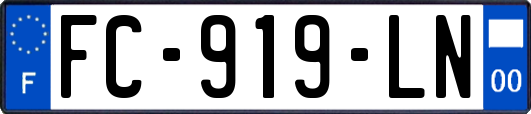FC-919-LN