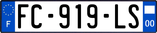FC-919-LS