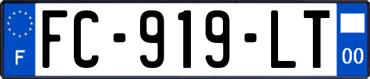 FC-919-LT