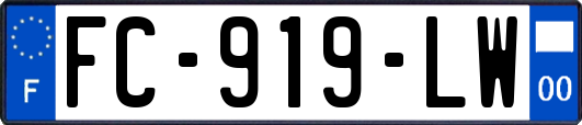 FC-919-LW