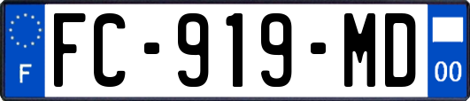 FC-919-MD