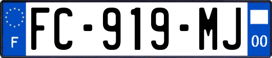 FC-919-MJ