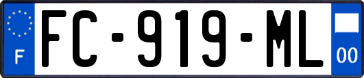 FC-919-ML