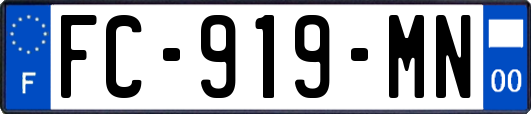 FC-919-MN