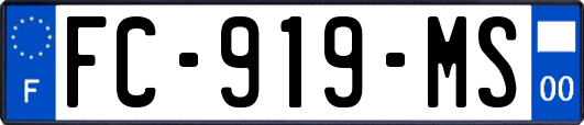 FC-919-MS