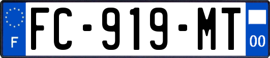 FC-919-MT