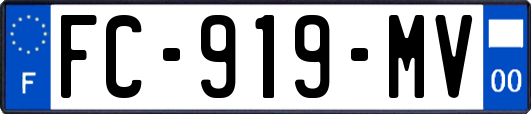 FC-919-MV