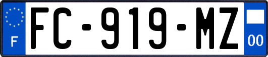 FC-919-MZ