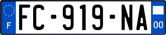 FC-919-NA