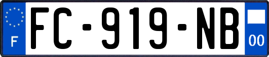 FC-919-NB