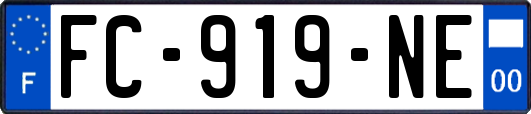 FC-919-NE