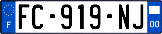 FC-919-NJ
