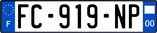FC-919-NP
